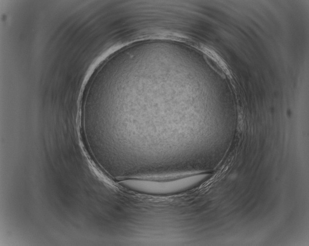 X0000085741136200704091503