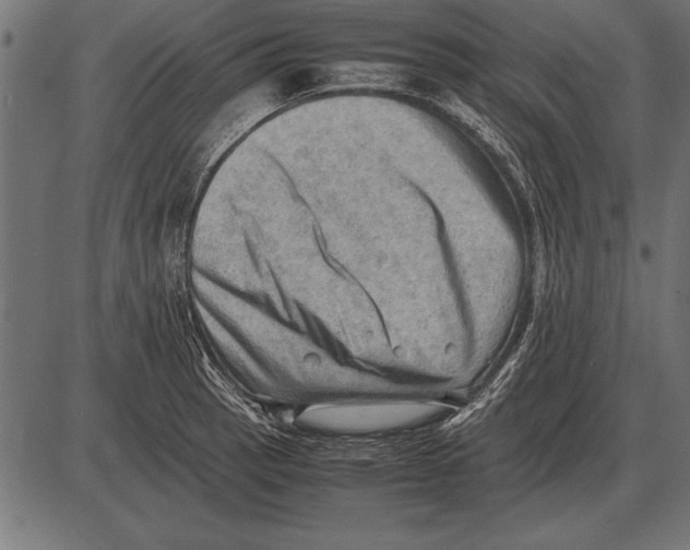 X0000085741137200704091503