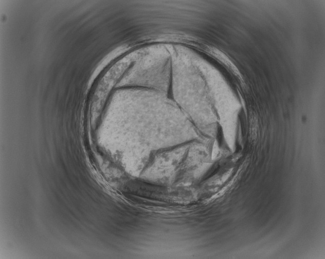 X0000085741138200704091503
