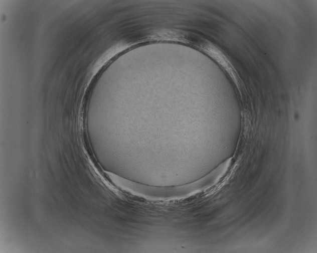 X0000085741141200704091503