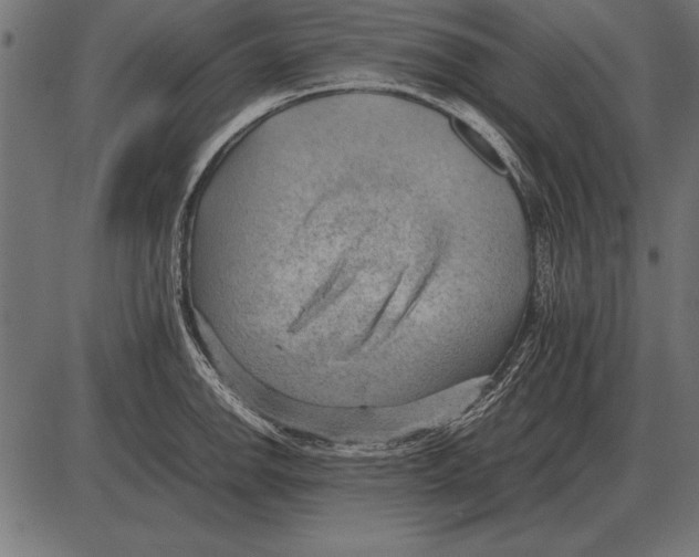 X0000085741142200704091503