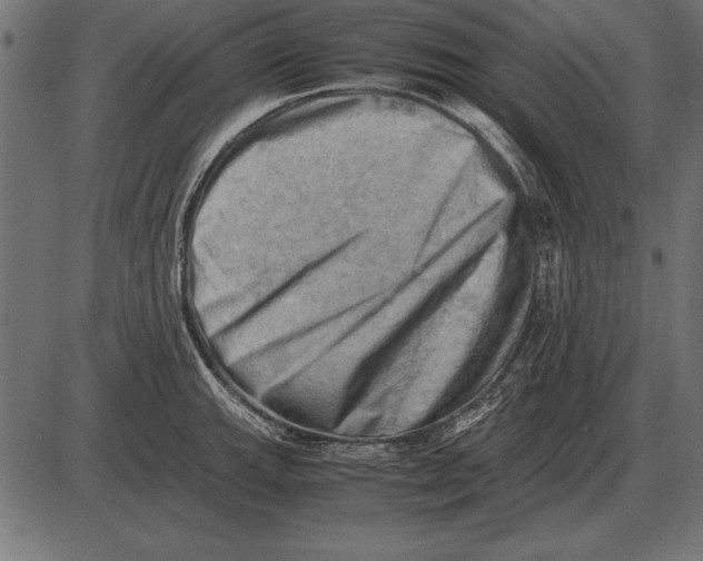 X0000085741143200704091503