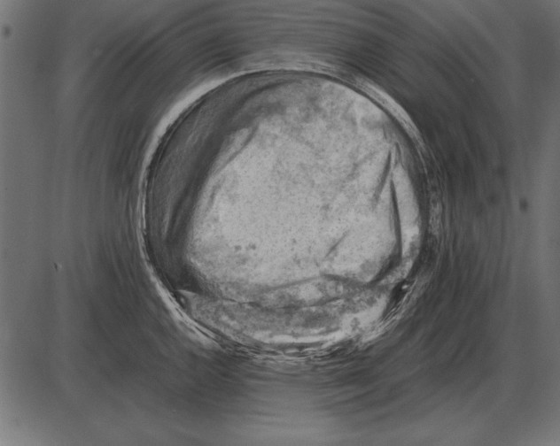 X0000085741144200704091503