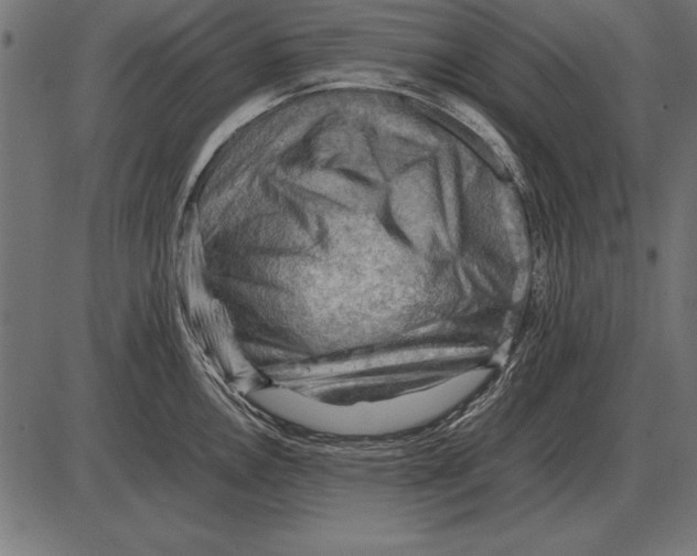 X0000085741146200704091503