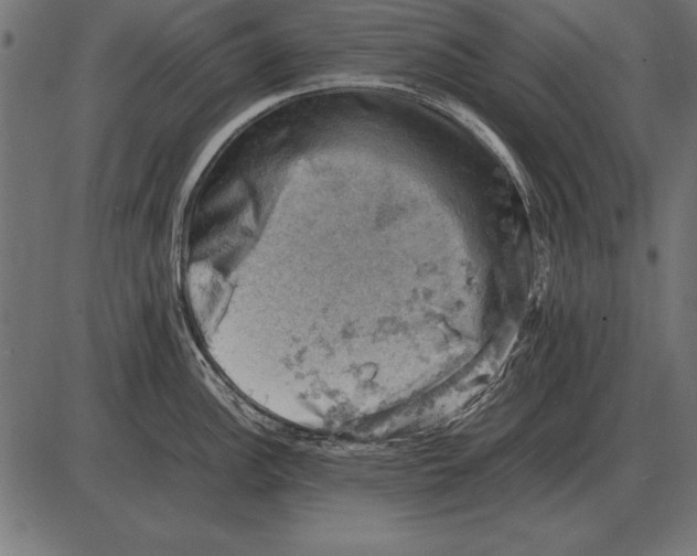 X0000085741148200704091503