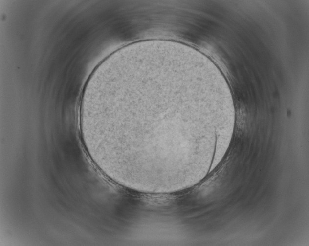 X0000085741150200704091503