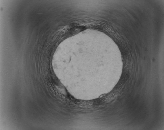 X0000085741153200704091502