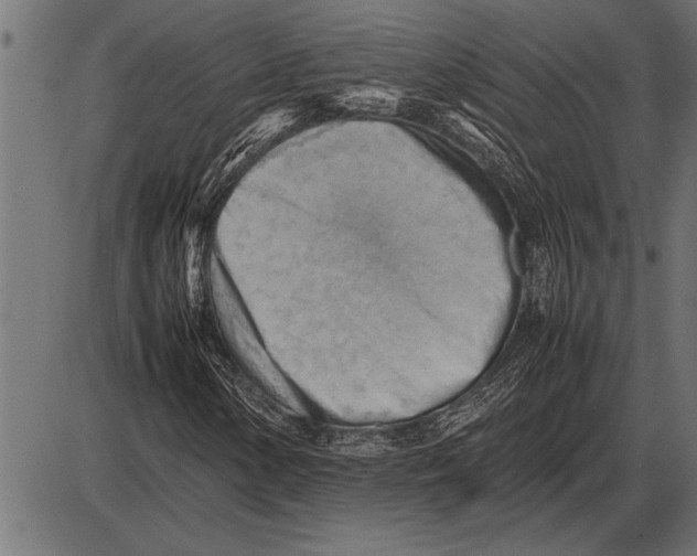 X0000085741154200704091502