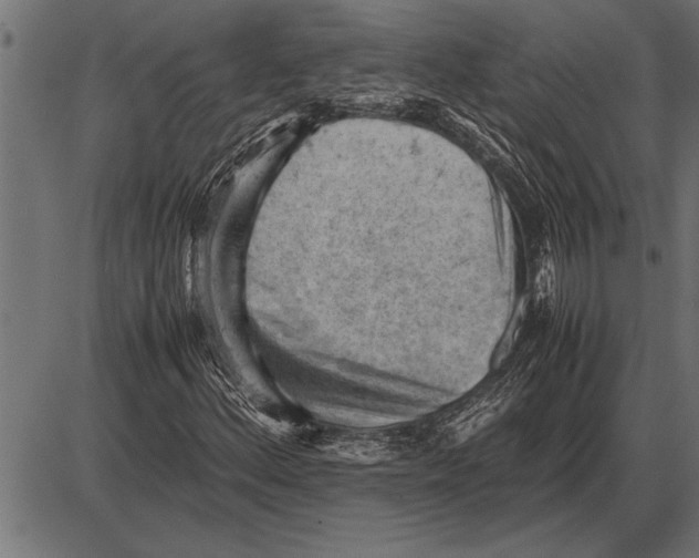 X0000085741156200704091502