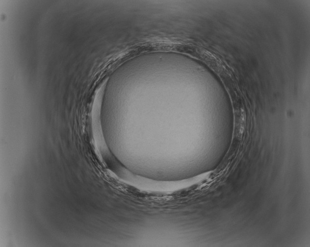 X0000085741157200704091502