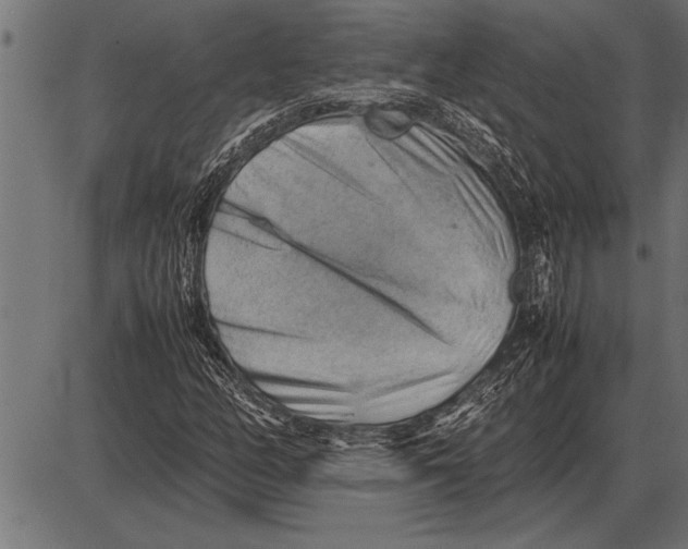 X0000085741158200704091502