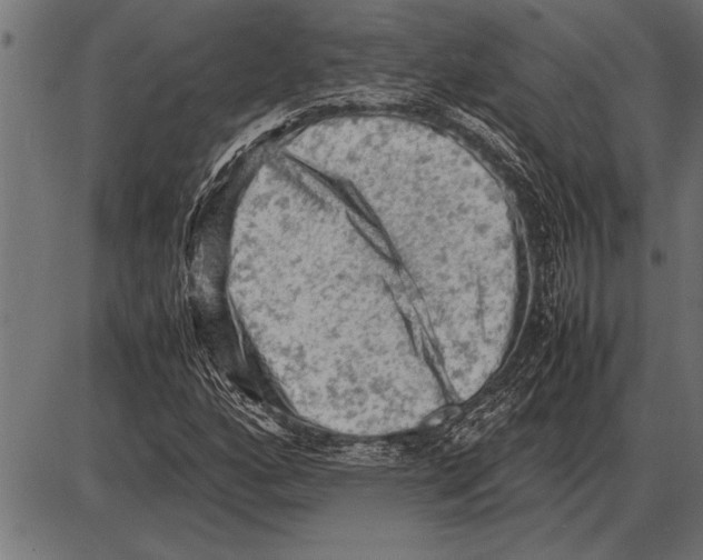 X0000085741160200704091502