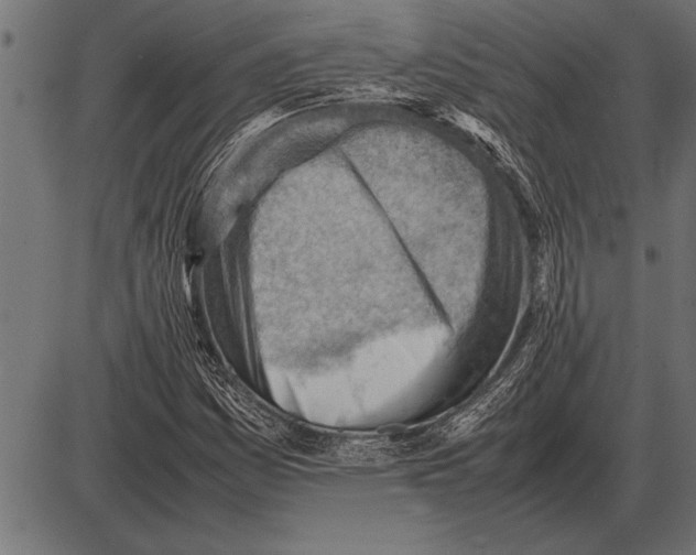 X0000085741161200704091502