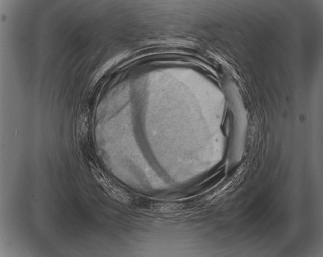 X0000085741163200704091502