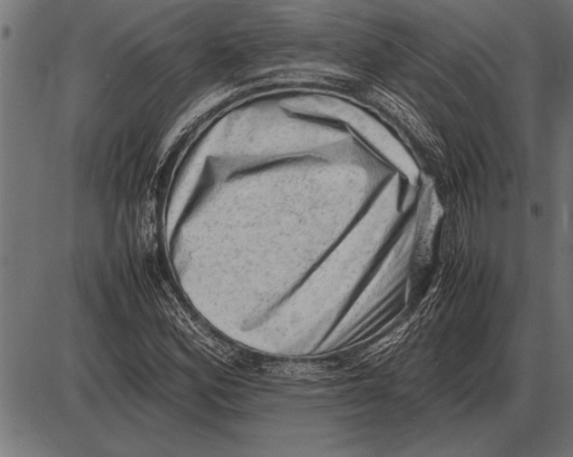 X0000085741164200704091502