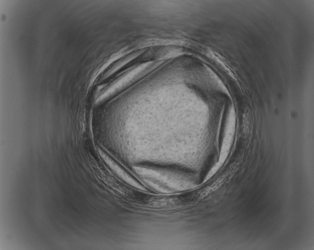 X0000085741165200704091502