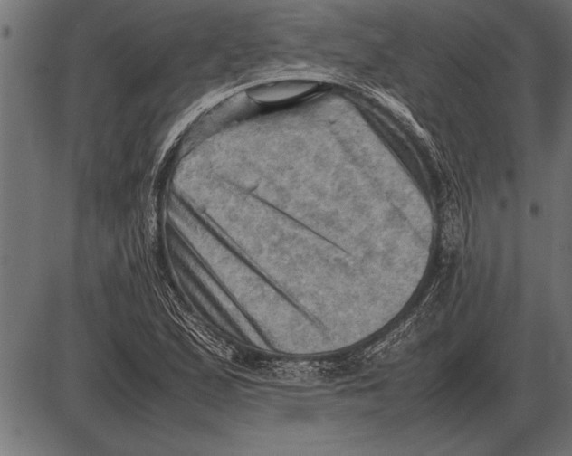 X0000085741167200704091502