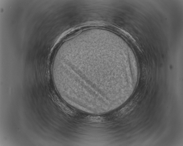 X0000085741168200704091502