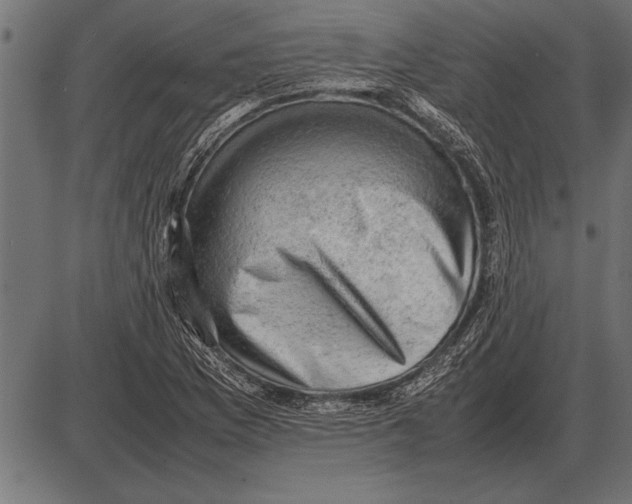 X0000085741169200704091502