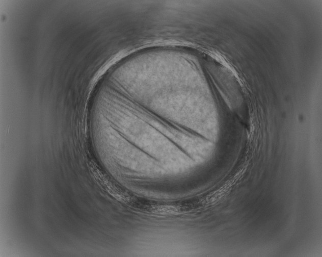 X0000085741173200704091502