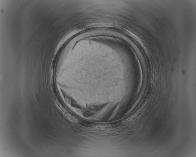 X0000085741179200704091502