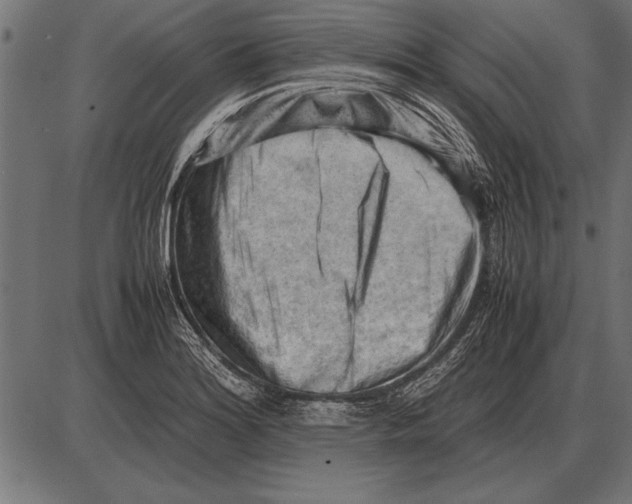 X0000085741180200704091502