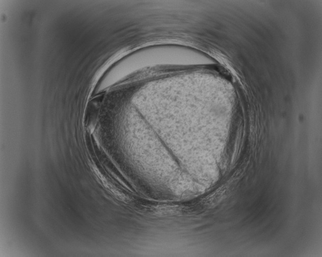 X0000085741181200704091502