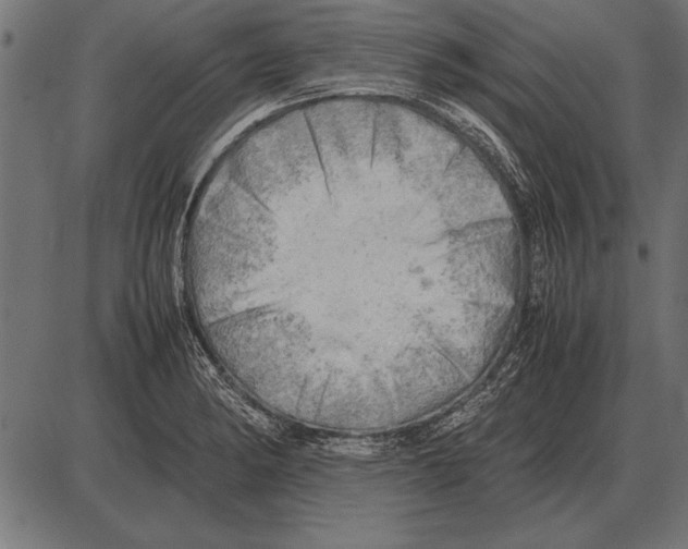 X0000085741182200704091502