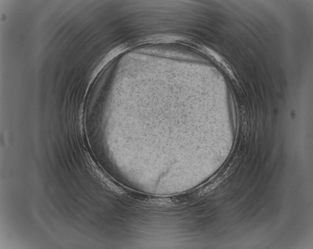 X0000085741186200704091502