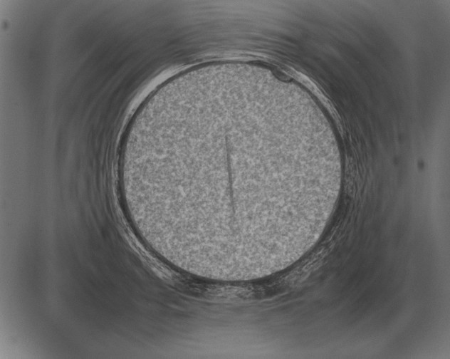 X0000085741187200704091502