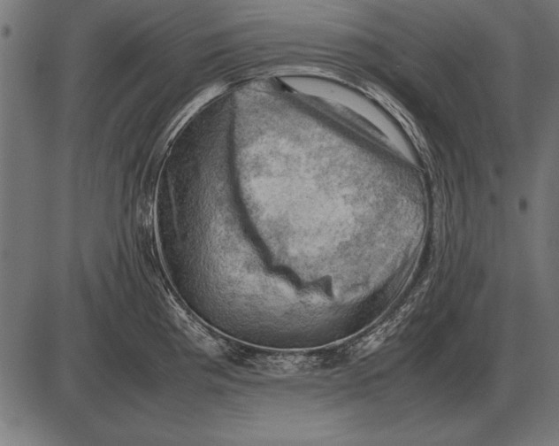 X0000085741193200704091502