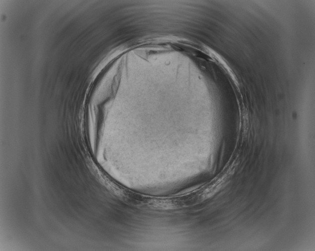 X0000085741194200704091502