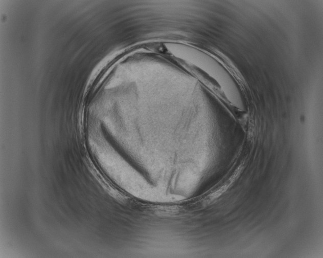 X0000085741196200704091502