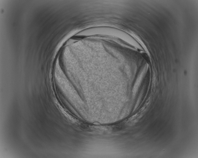 X0000085741197200704091502