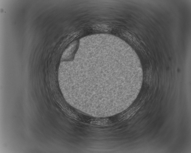X0000085741201200704091501