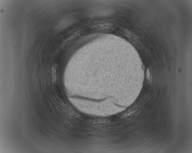 X0000085741203200704091501