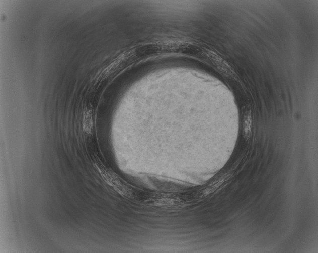 X0000085741204200704091501