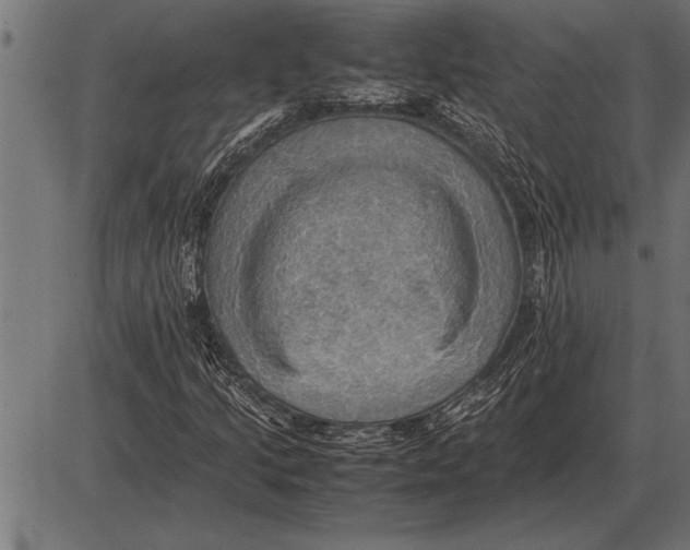 X0000085741205200704091501