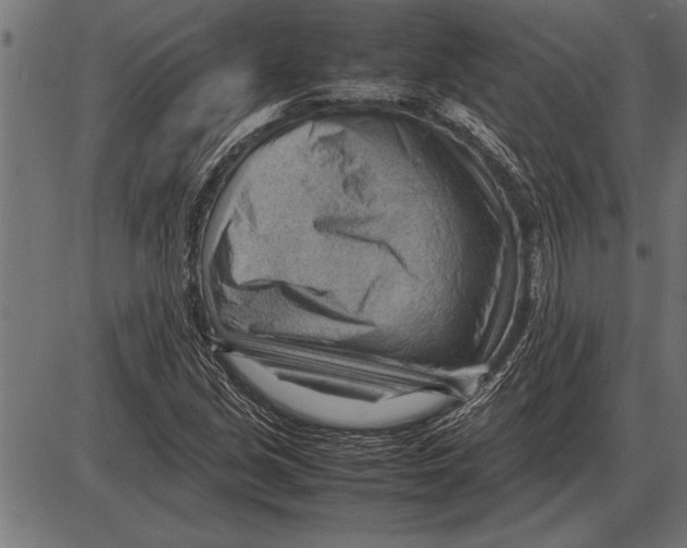 X0000085741213200704091501