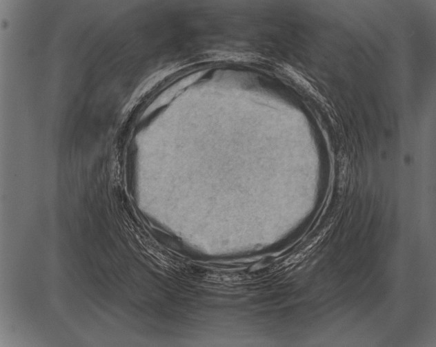 X0000085741215200704091501