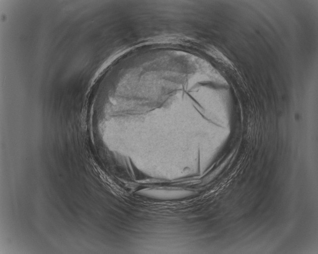 X0000085741216200704091501