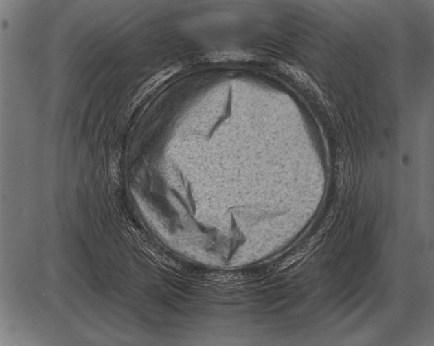 X0000085741217200704091501