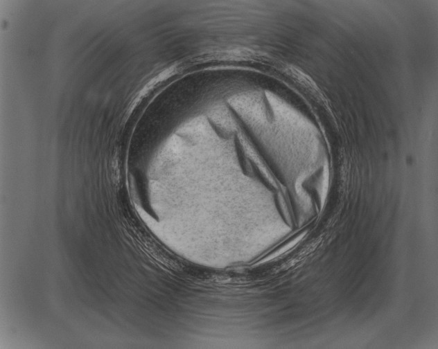 X0000085741218200704091501