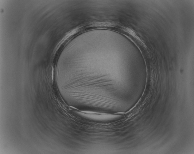 X0000085741221200704091501