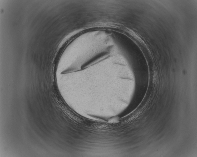 X0000085741222200704091501