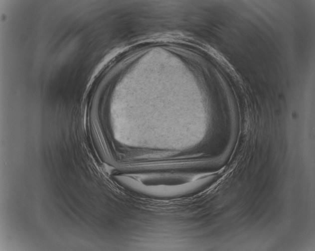 X0000085741224200704091501