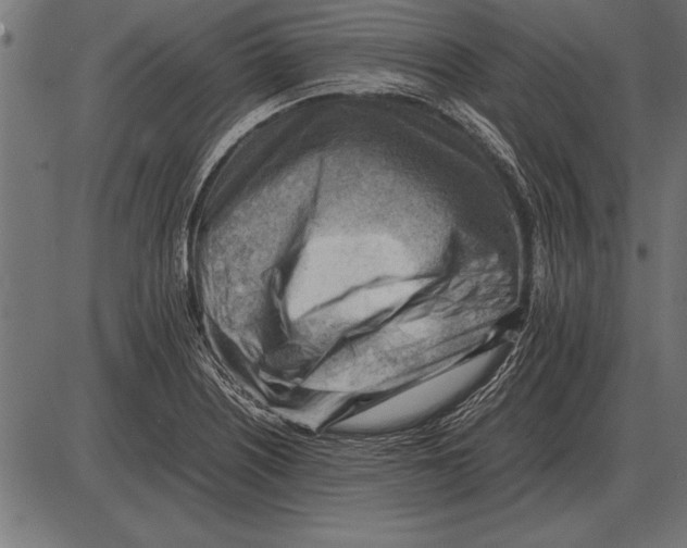 X0000085741226200704091501