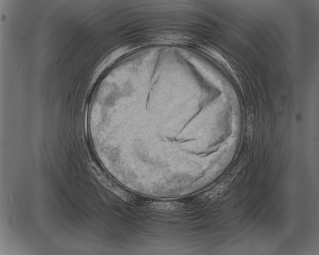 X0000085741227200704091501