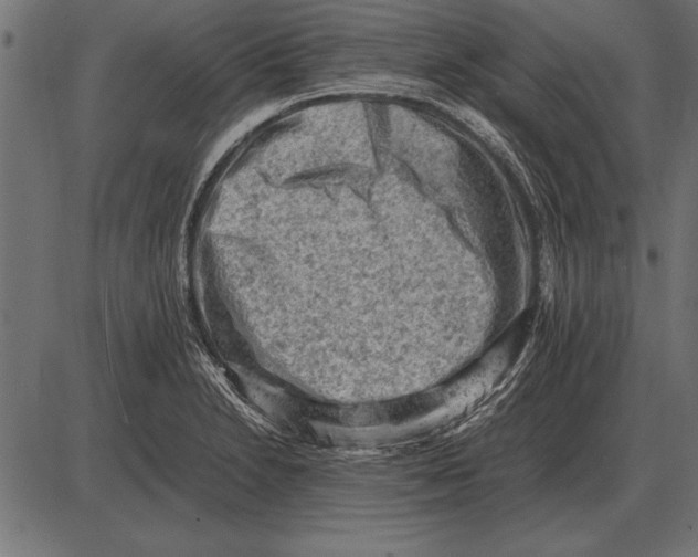 X0000085741230200704091501