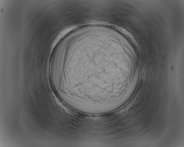 X0000085741231200704091501